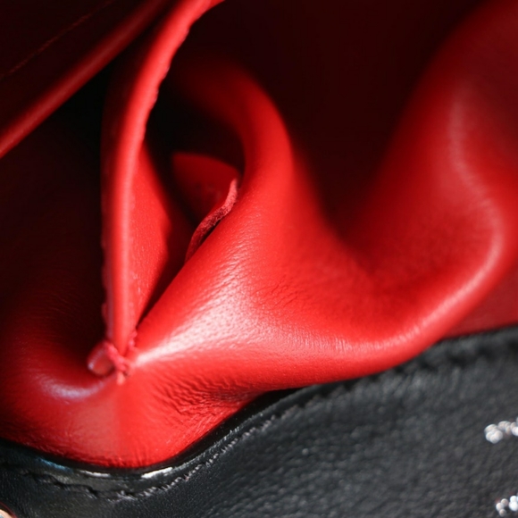 🚫SOLD🚫Louis Vuitton Rare Feather Capucines - Picture 8 of 9